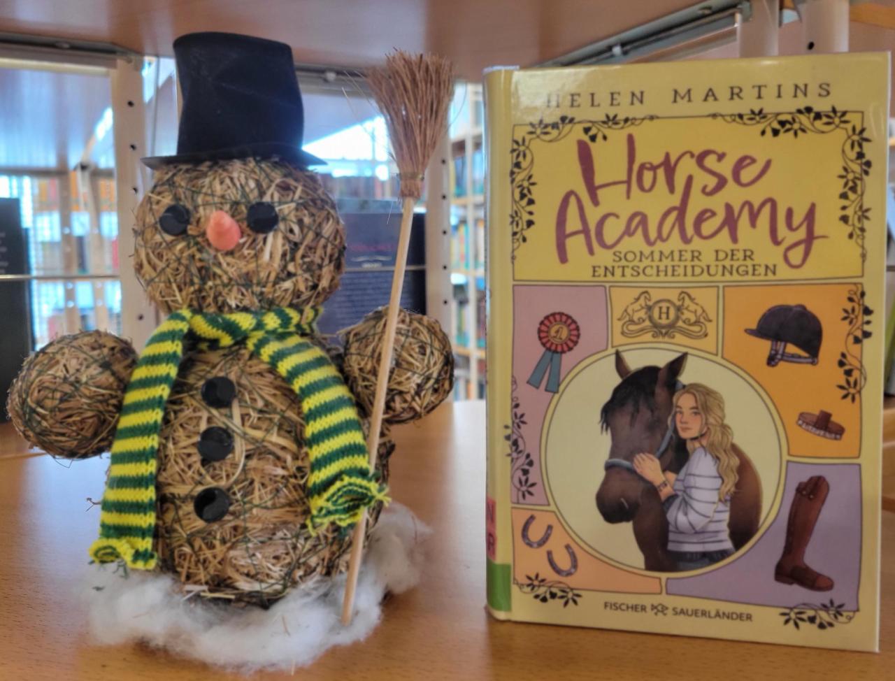 Schneemann mit Jugendbuch