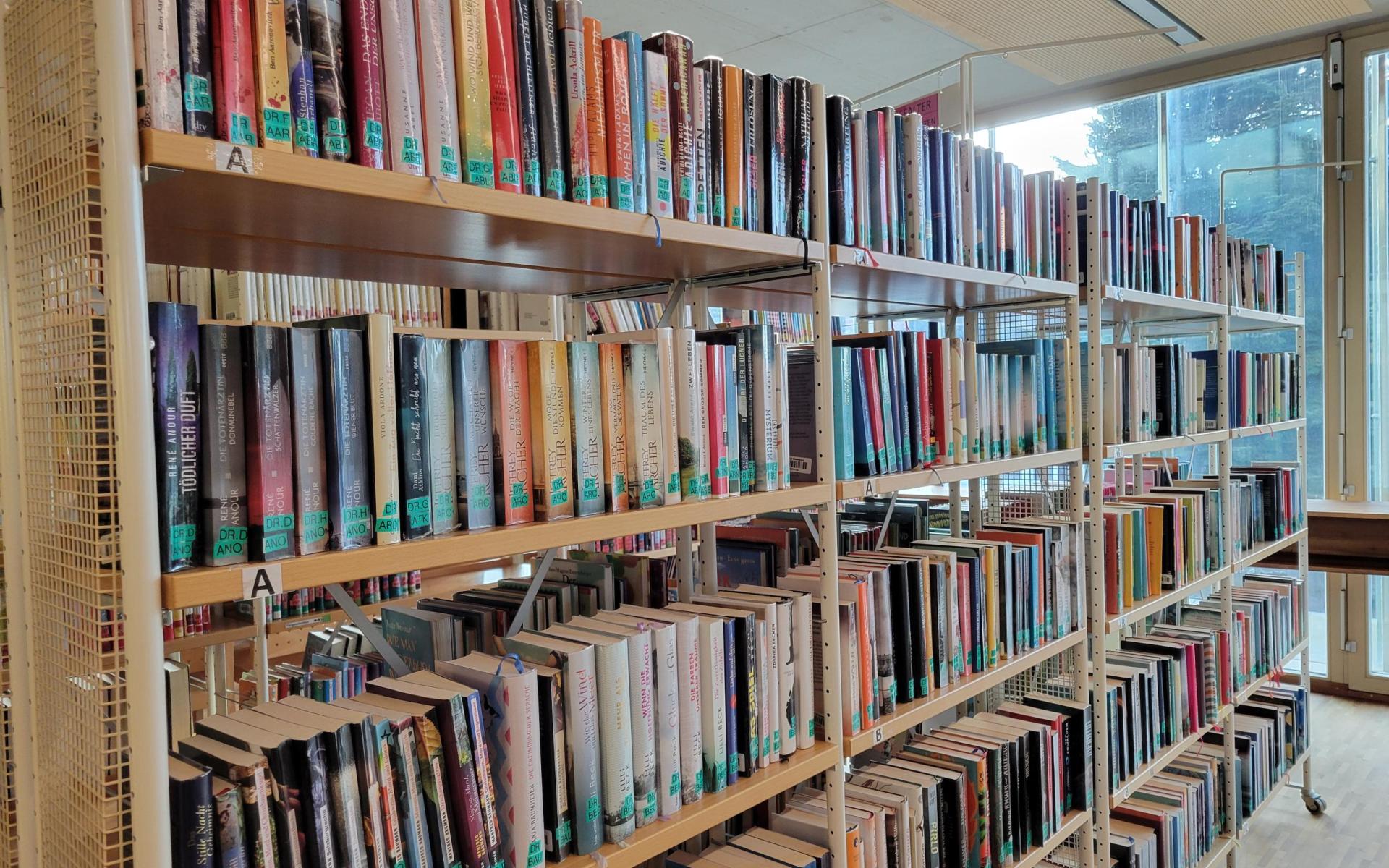 hohes Bücherregal mit Blick zum Fenster