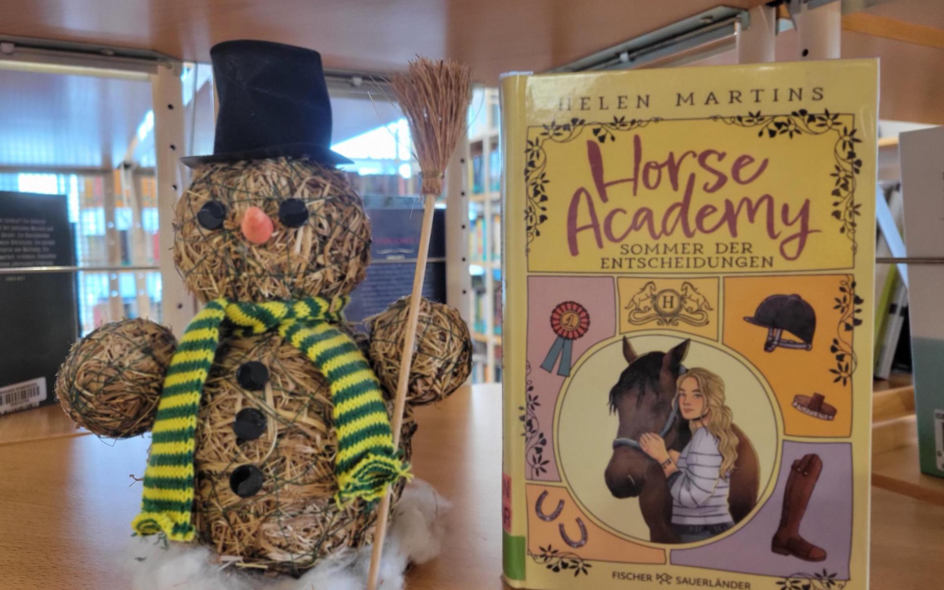 Schneemann mit Jugendbuch